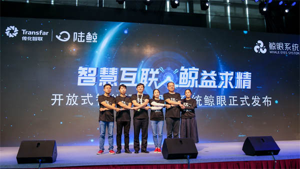 陆鲸2.jpg