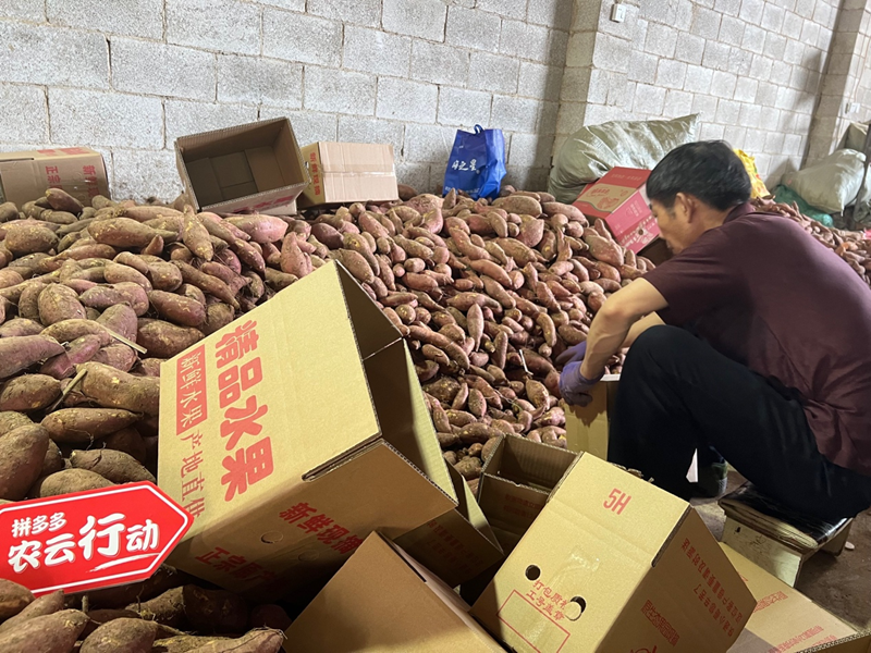 图片2.png