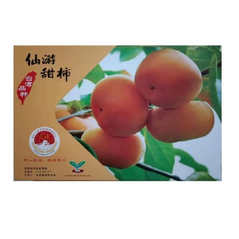 图片 4.jpg