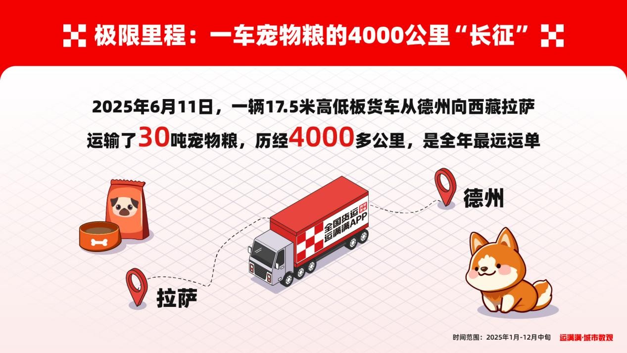 1767010161539237.jpg 图片10.jpg