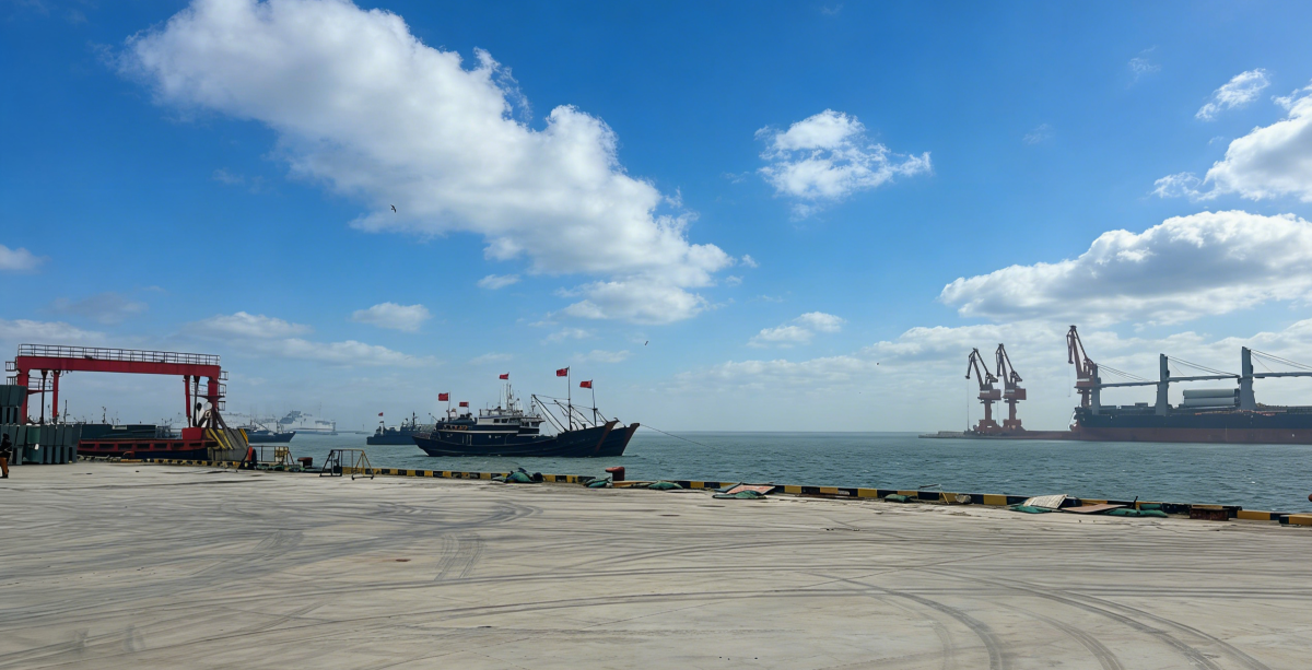 1772259674498301.png 创新金属稿件照片5(1).png