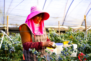 1776071107571921.png 图片3.png